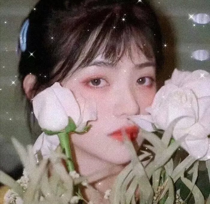 原始战争